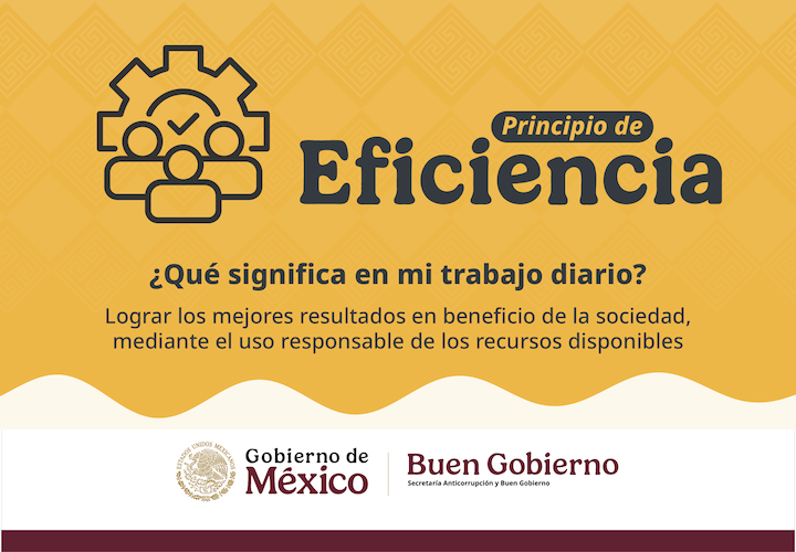 EFICIENCIA