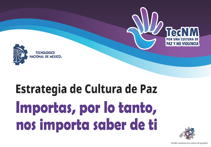 ENCUESTA CULTURA DE PAZ
